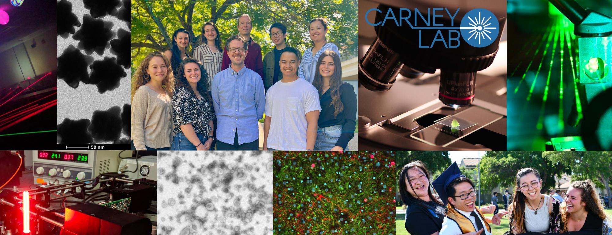 Carney lab header 2022