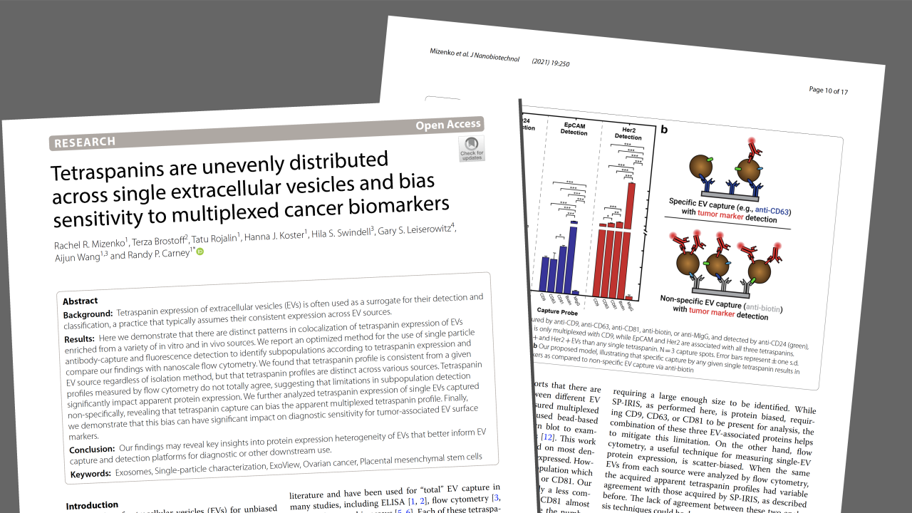 2021 J Nanobiotech paper header