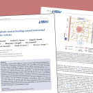 2023 JEV convection paper header